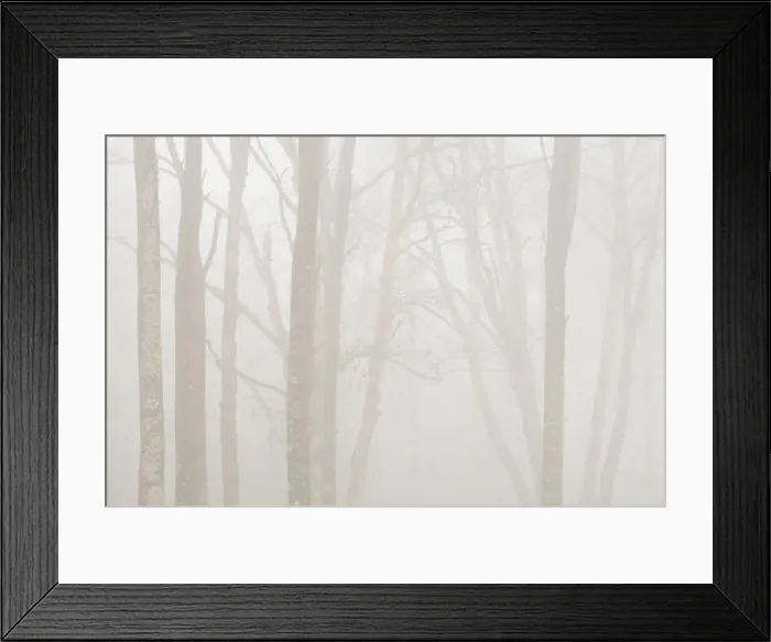Framed Print : DDE-90028404 Framed Print : DDE-90028404