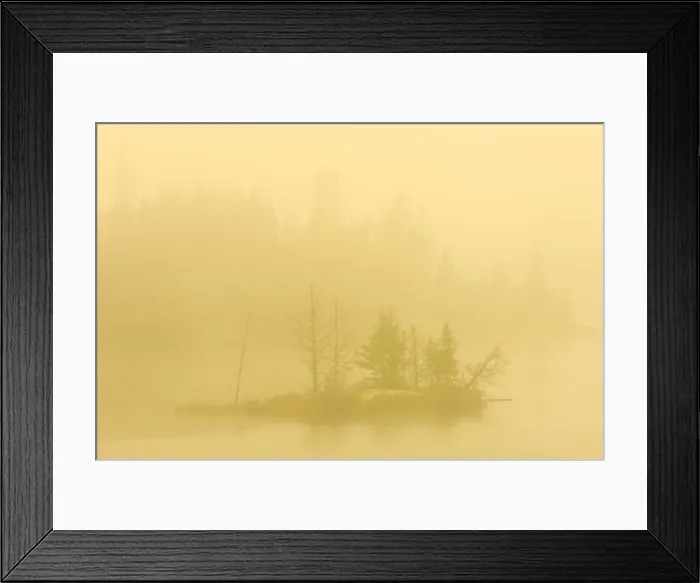 Framed Print : DDE-90028413
