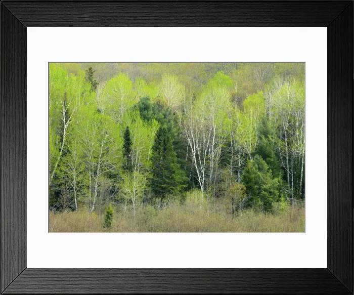 Framed Print : DDE-90028414 Framed Print : DDE-90028414