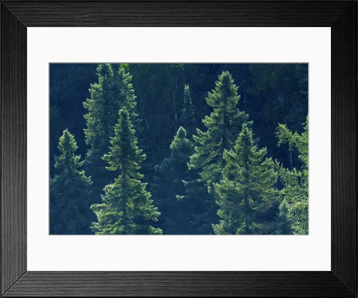 Framed Print : DDE-90028417 Framed Print : DDE-90028417