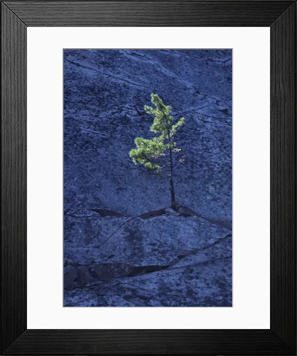 Framed Print : DDE-90028422 Framed Print : DDE-90028422