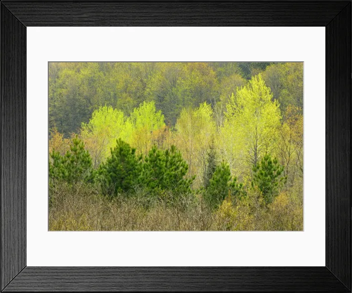 Framed Print : DDE-90028423 Framed Print : DDE-90028423