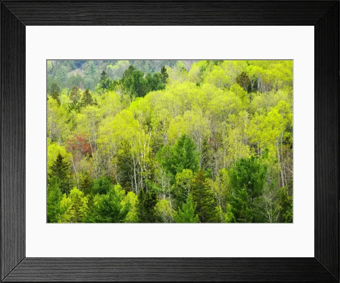 Framed Print : DDE-90028424 Framed Print : DDE-90028424