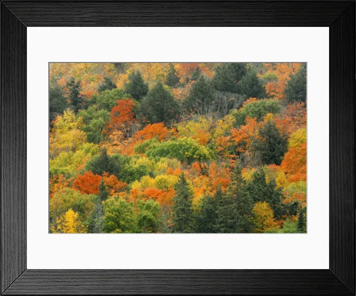 Framed Print : DDE-90028433 Framed Print : DDE-90028433