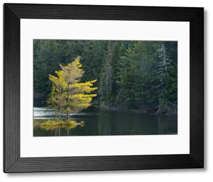 Framed Print : DDE-90028434 Framed Print : DDE-90028434