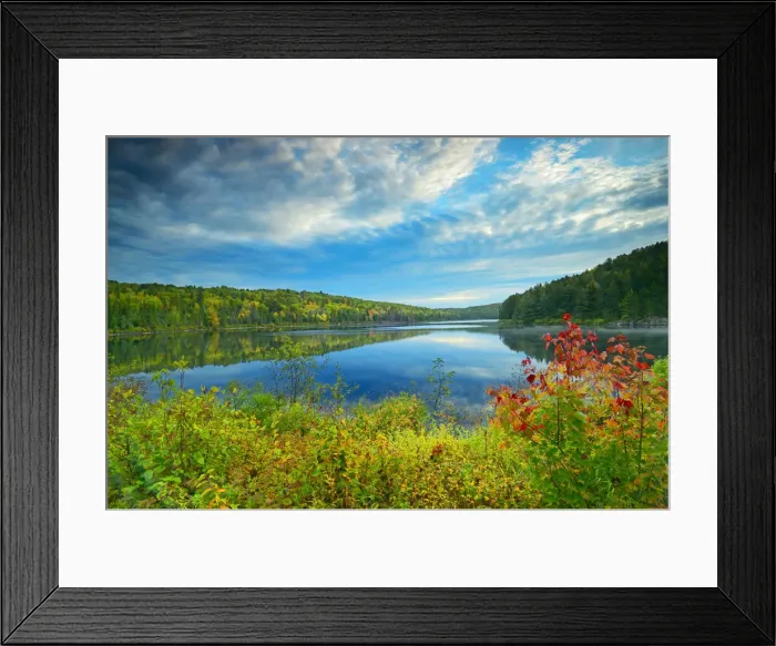 Framed Print : DDE-90028435 Framed Print : DDE-90028435