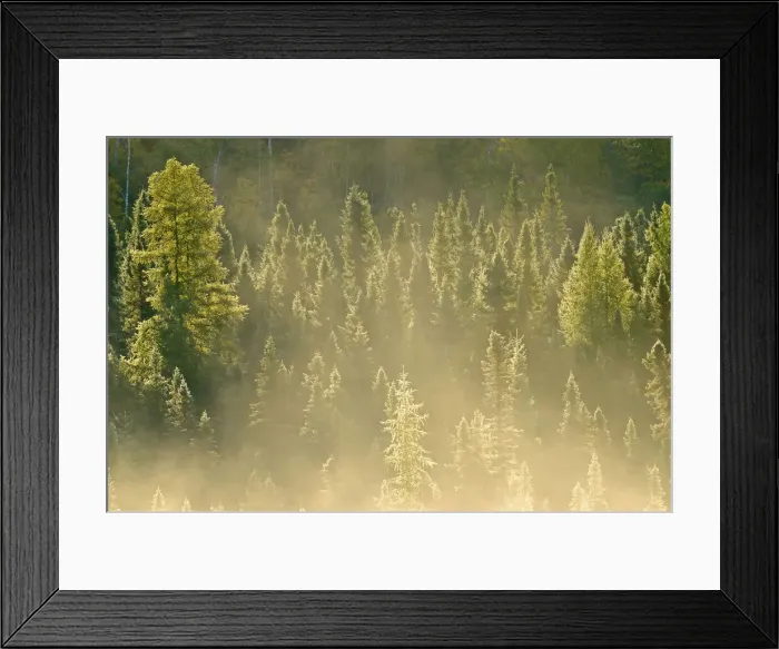 Framed Print : DDE-90028439 Framed Print : DDE-90028439