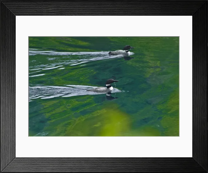 Framed Print : DDE-90028444 Framed Print : DDE-90028444