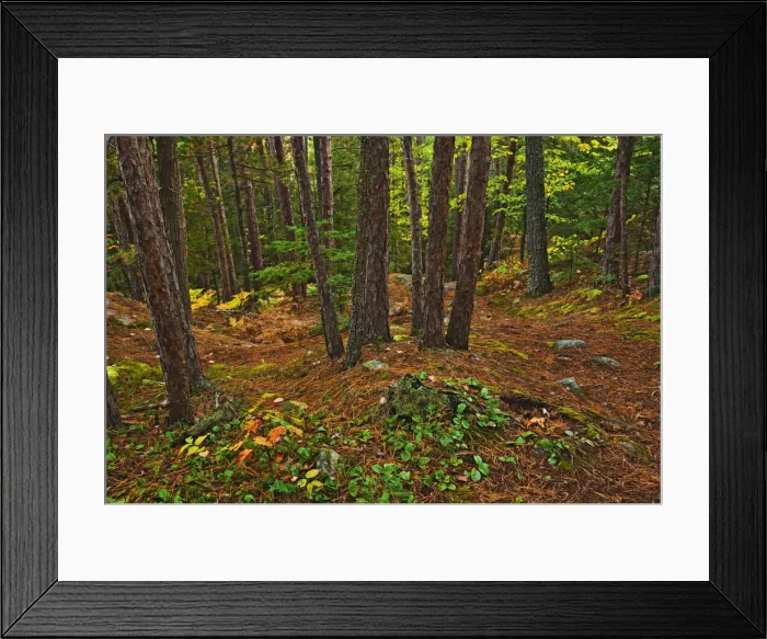 Framed Print : DDE-90028453 Framed Print : DDE-90028453