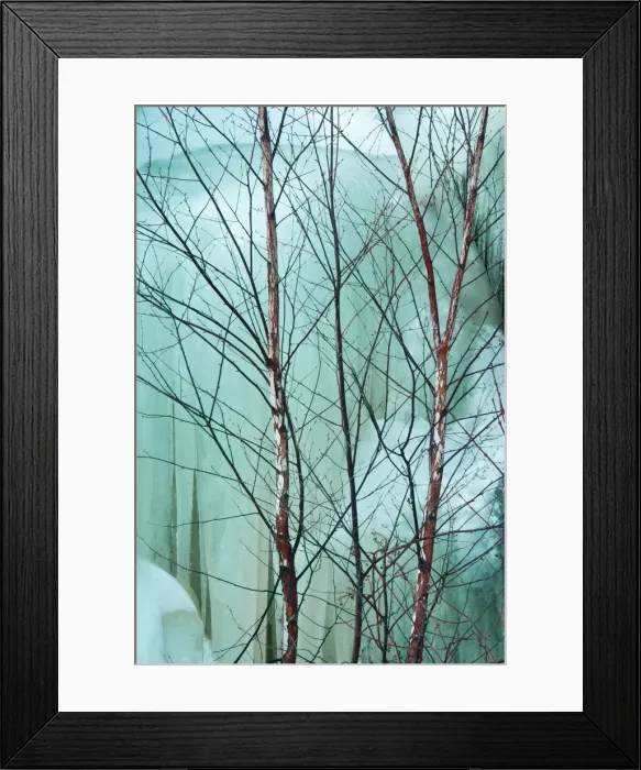 Framed Print : DDE-90028460 Framed Print : DDE-90028460