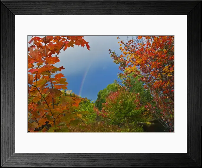Framed Print : DDE-90028461 Framed Print : DDE-90028461