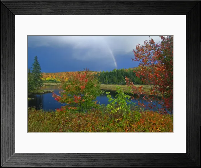 Framed Print : DDE-90028462 Framed Print : DDE-90028462