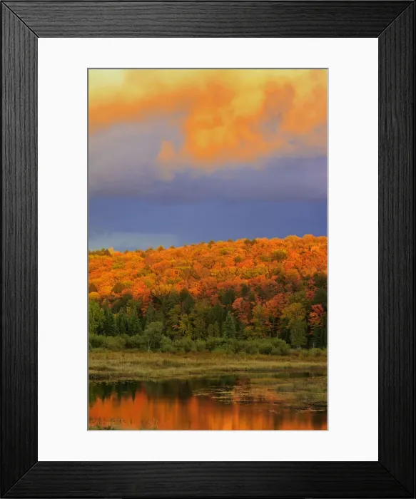 Framed Print : DDE-90028463 Framed Print : DDE-90028463