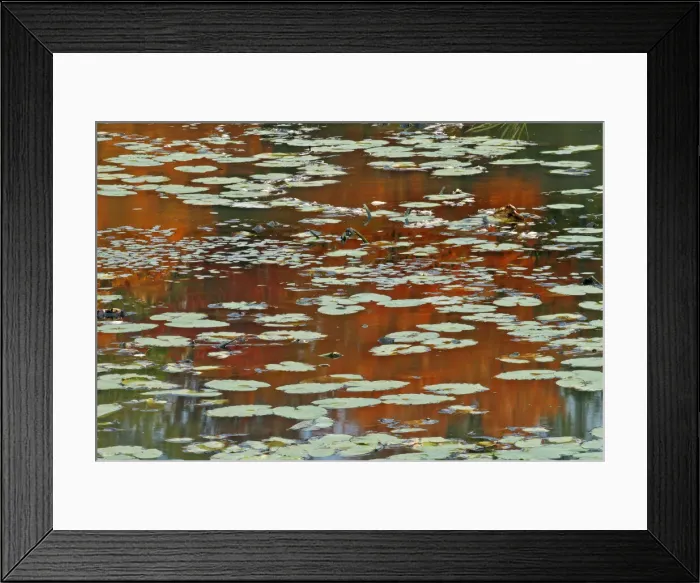 Framed Print : DDE-90028464 Framed Print : DDE-90028464
