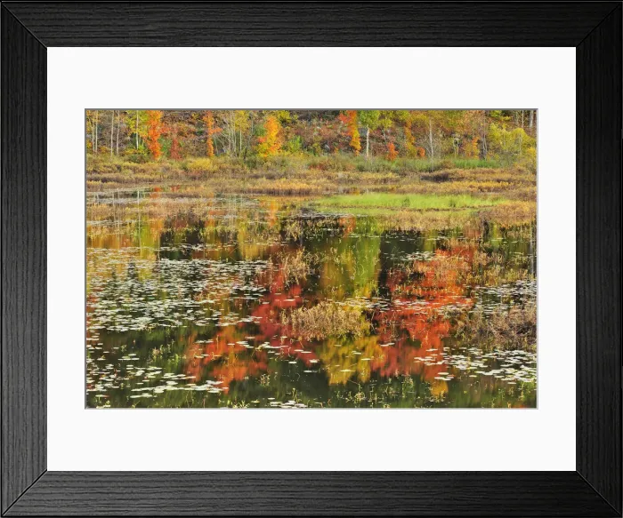 Framed Print : DDE-90028465 Framed Print : DDE-90028465