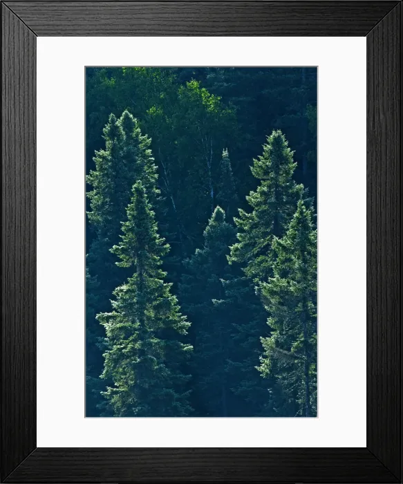 Framed Print : DDE-90028467