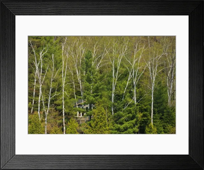 Framed Print : DDE-90028468 Framed Print : DDE-90028468