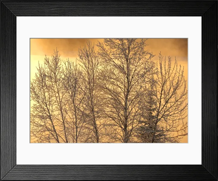 Framed Print : DDE-90028472 Framed Print : DDE-90028472