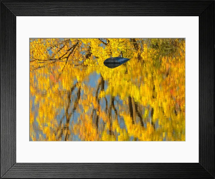 Framed Print : DDE-90028475