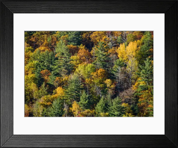 Framed Print : DDE-90028484 Framed Print : DDE-90028484