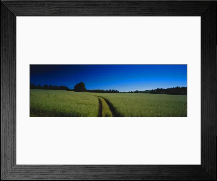 Framed Print : DDE-90028489 Framed Print : DDE-90028489