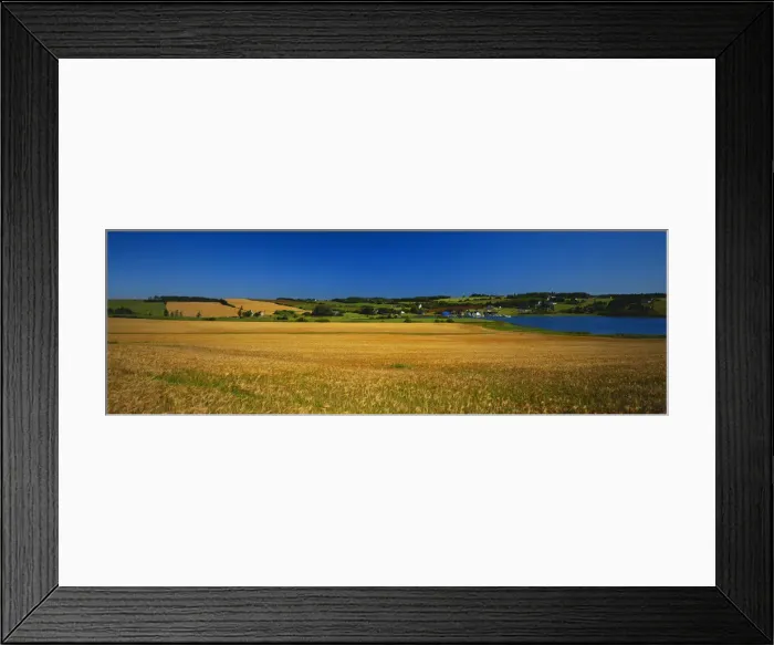 Framed Print : DDE-90028490 Framed Print : DDE-90028490