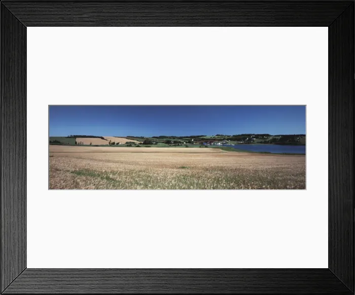 Framed Print : DDE-90028491 Framed Print : DDE-90028491