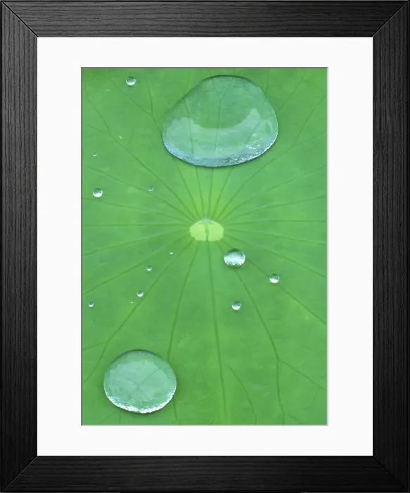 Framed Print : DDE-90028496 Framed Print : DDE-90028496
