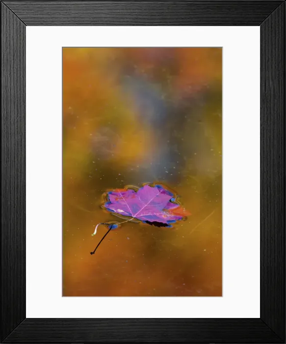Framed Print : DDE-90028498 Framed Print : DDE-90028498