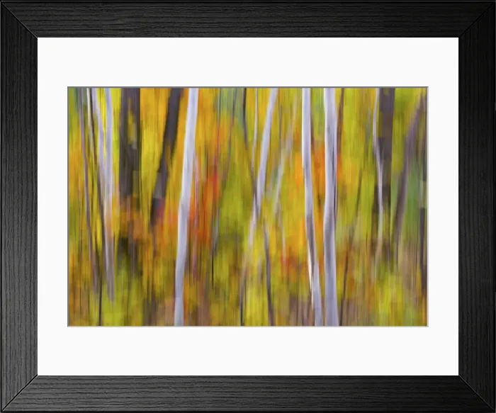 Framed Print : DDE-90028501 Framed Print : DDE-90028501