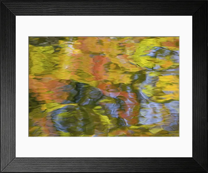 Framed Print : DDE-90028502 Framed Print : DDE-90028502