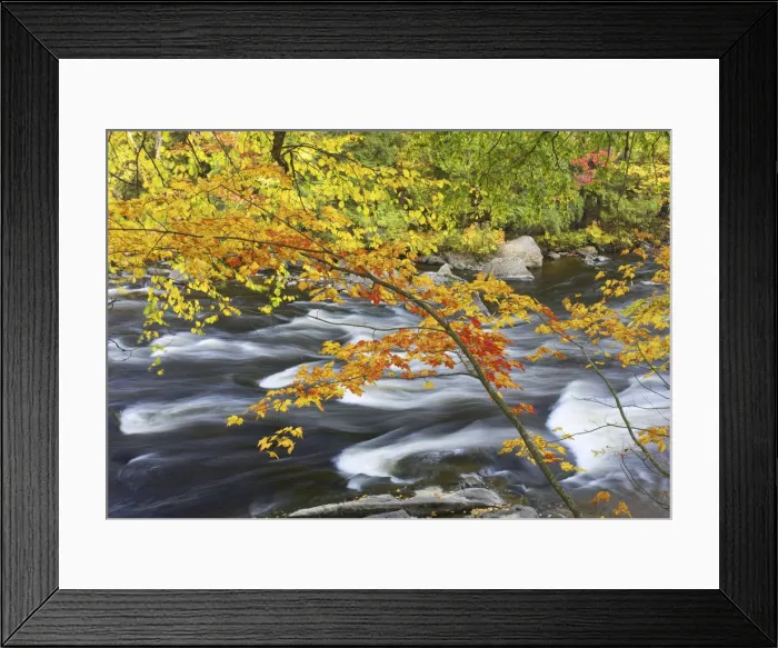 Framed Print : DDE-90028508 Framed Print : DDE-90028508