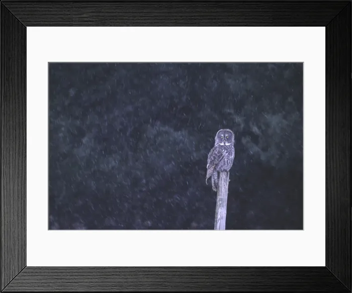 Framed Print : DDE-90028512 Framed Print : DDE-90028512