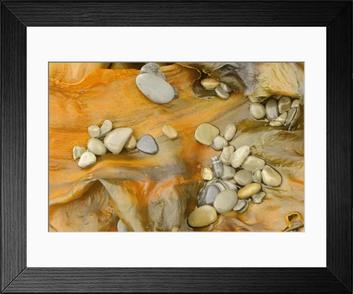 Framed Print : DDE-90028518 Framed Print : DDE-90028518