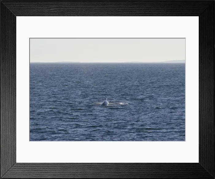 Framed Print : DDE-90028522