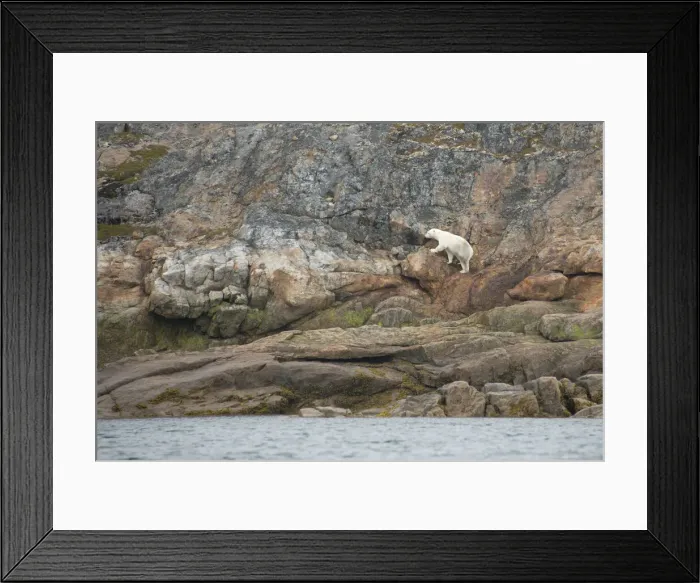 Framed Print : DDE-90028531 Framed Print : DDE-90028531
