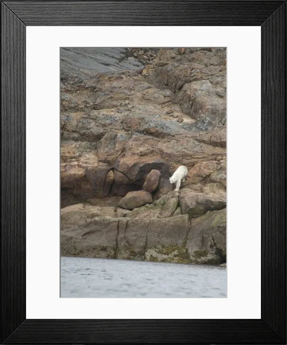 Framed Print : DDE-90028532 Framed Print : DDE-90028532
