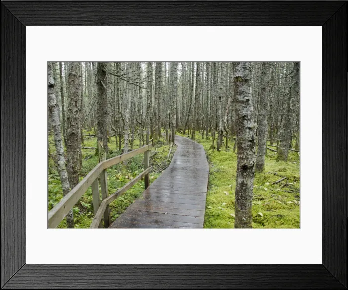 Framed Print : DDE-90028533 Framed Print : DDE-90028533