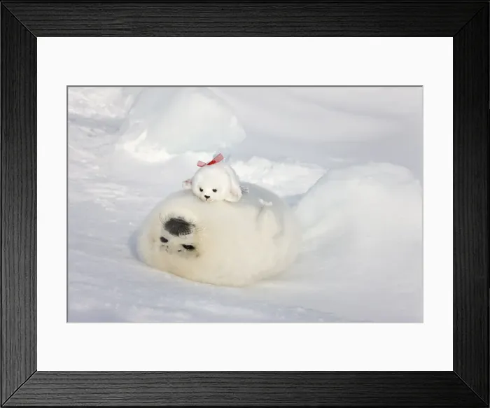 Framed Print : DDE-90028536 Framed Print : DDE-90028536