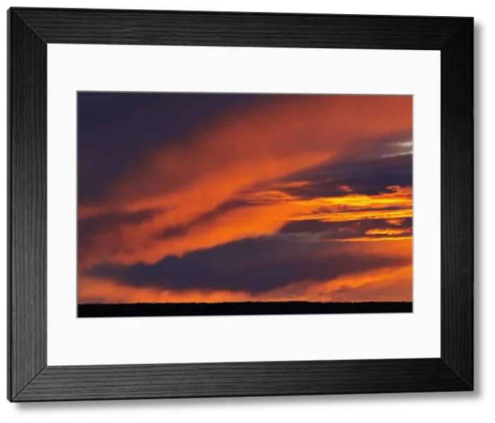 Framed Print : DDE-90028571 Framed Print : DDE-90028571