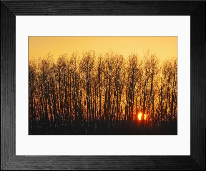 Framed Print : DDE-90028574 Framed Print : DDE-90028574
