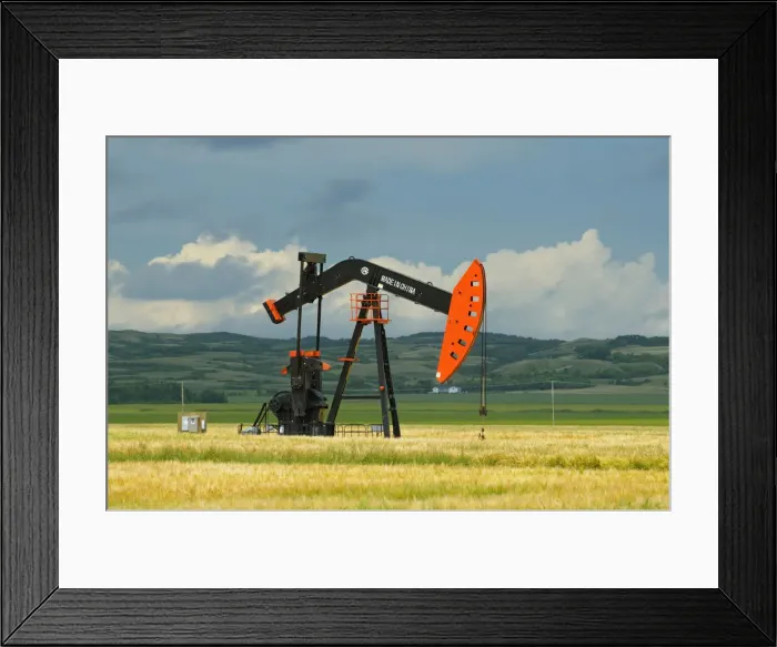 Framed Print : DDE-90028579 Framed Print : DDE-90028579