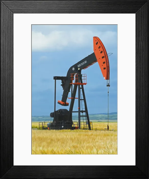 Framed Print : DDE-90028580 Framed Print : DDE-90028580