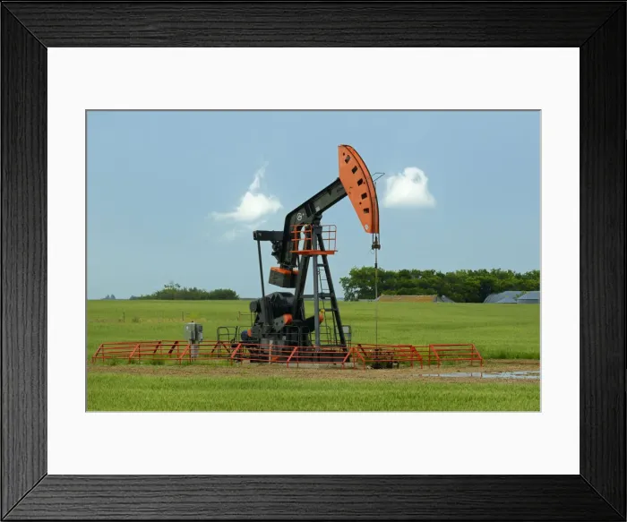 Framed Print : DDE-90028581 Framed Print : DDE-90028581
