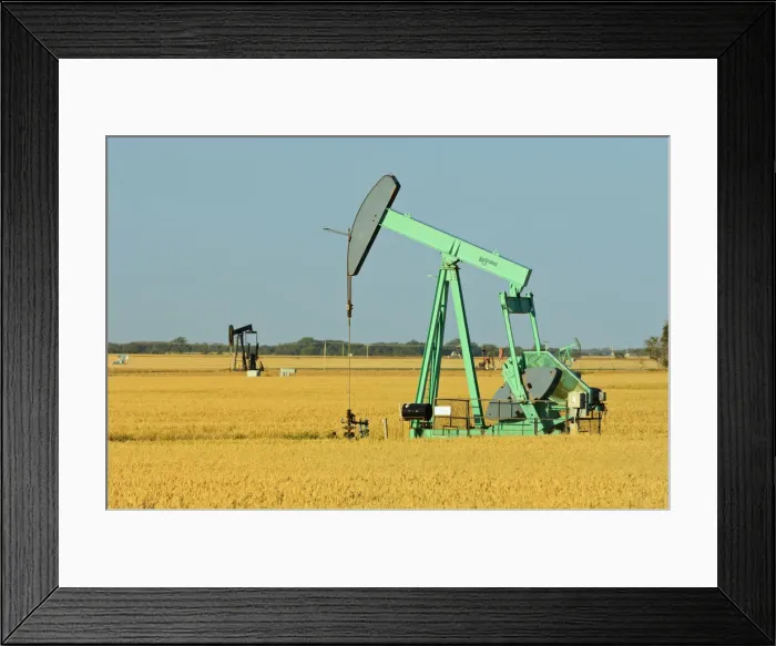Framed Print : DDE-90028582