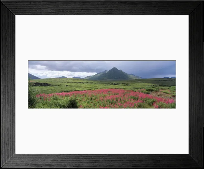 Framed Print : DDE-90028595 Framed Print : DDE-90028595