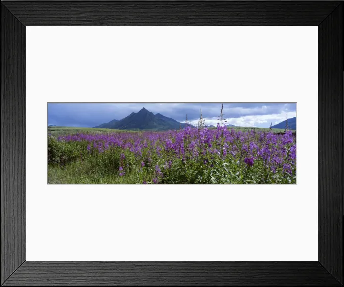 Framed Print : DDE-90028596 Framed Print : DDE-90028596