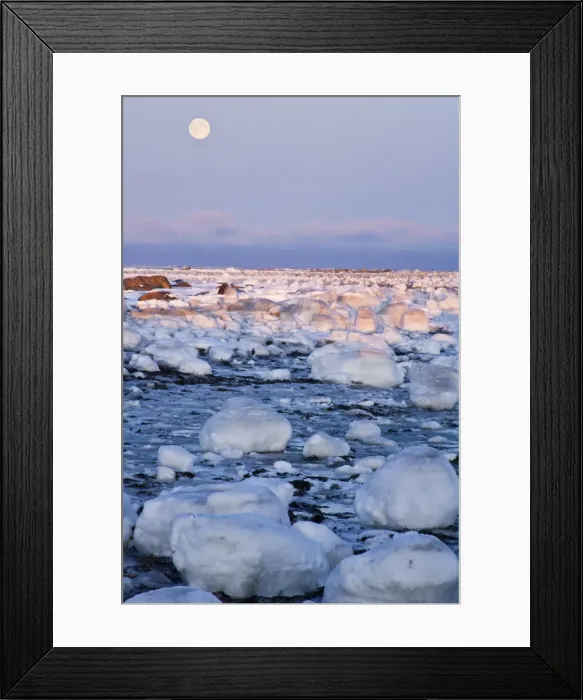 Framed Print : DDE-90028601