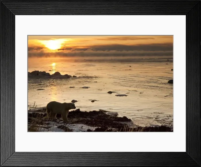 Framed Print : DDE-90028602 Framed Print : DDE-90028602