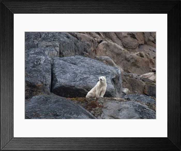 Framed Print : DDE-90028604 Framed Print : DDE-90028604